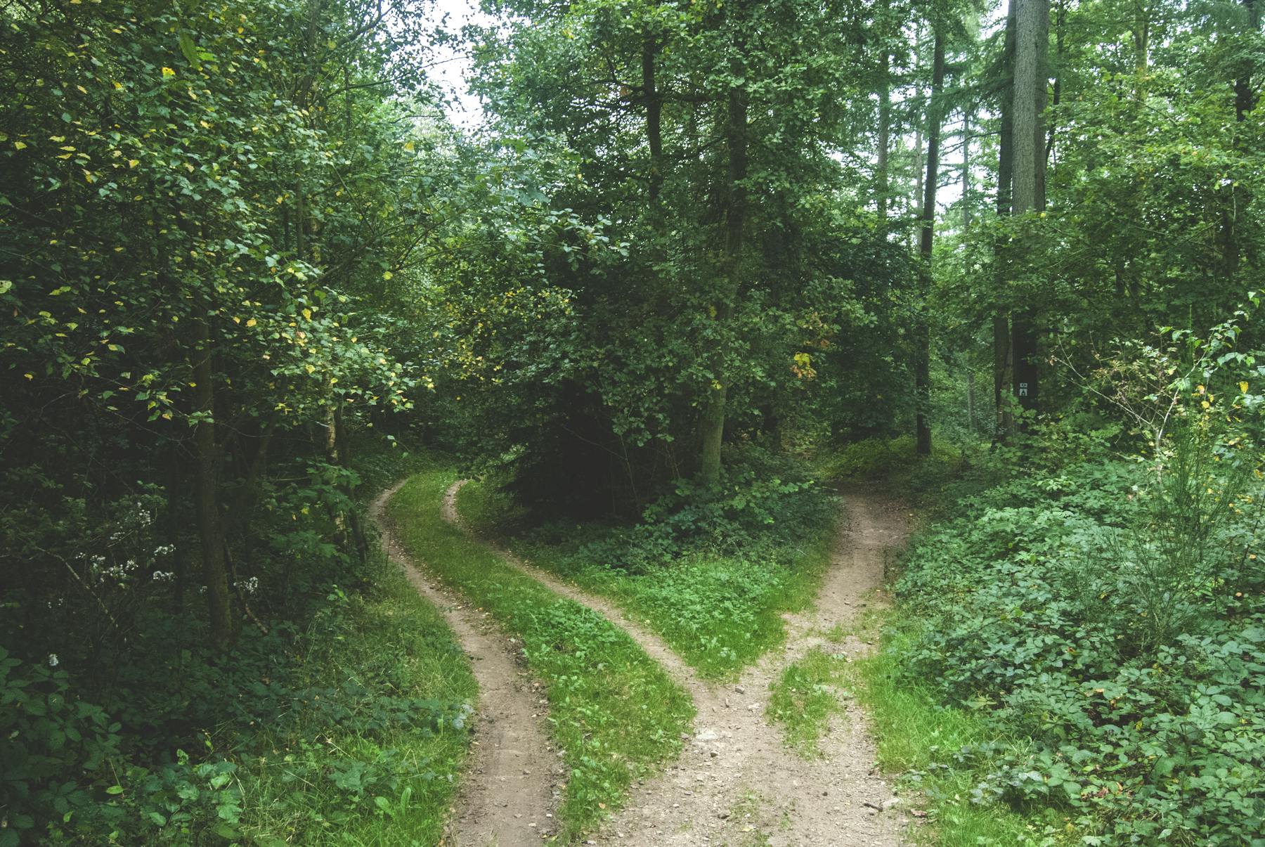Azure OpenAI vs OpenAI: the enterprise decision