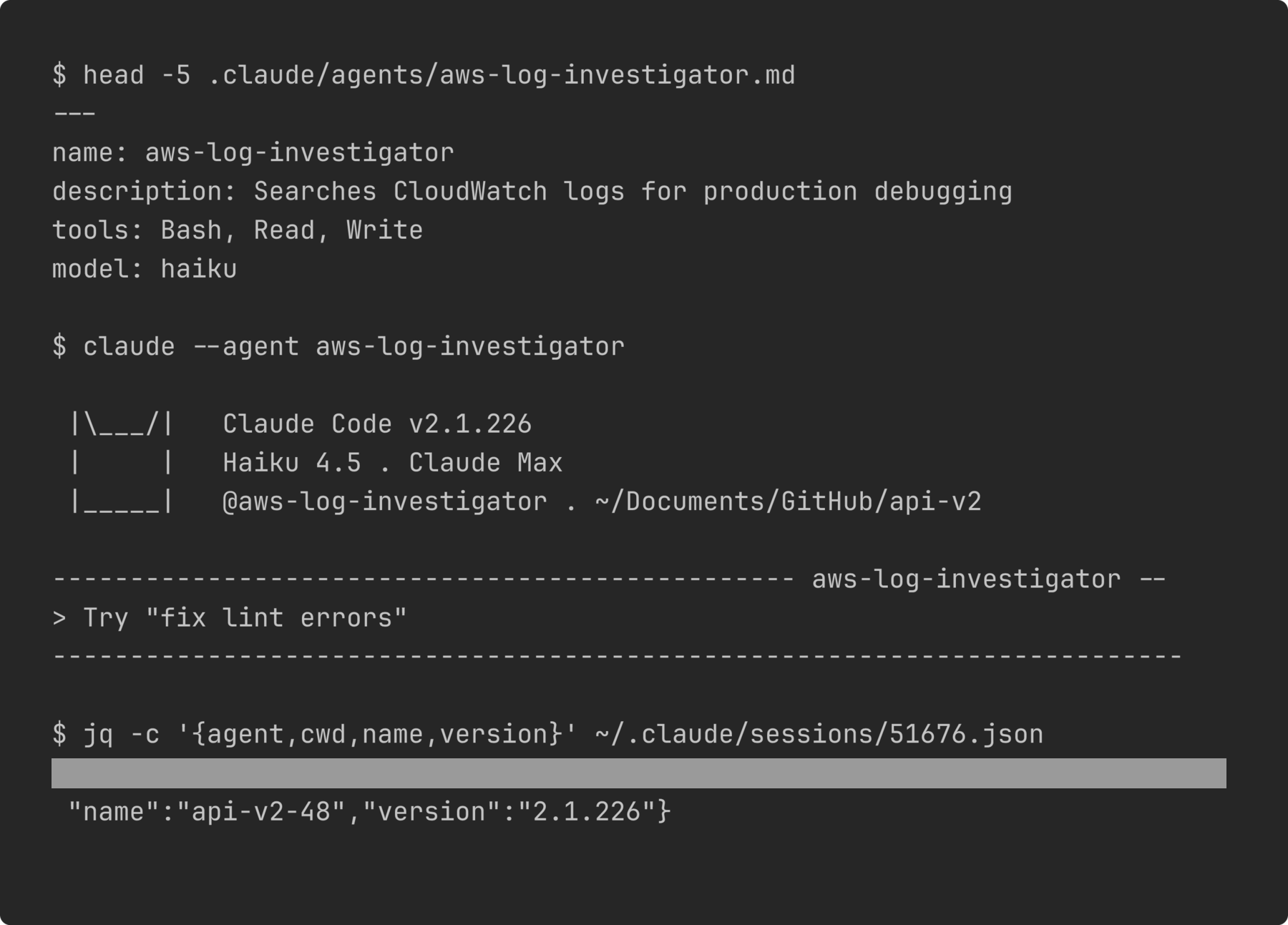 A Claude Code session launched with --agent takes the agent definition's name, tool list and model, and records that role in its own session registry file